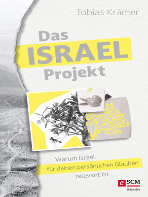 cover image of Das Israel-Projekt